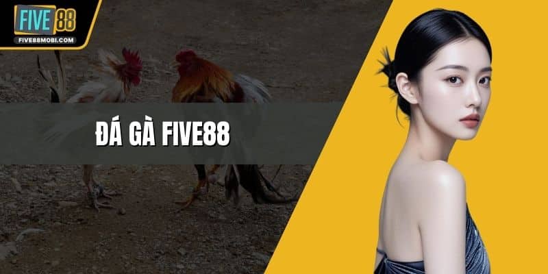 Đá Gà Five88